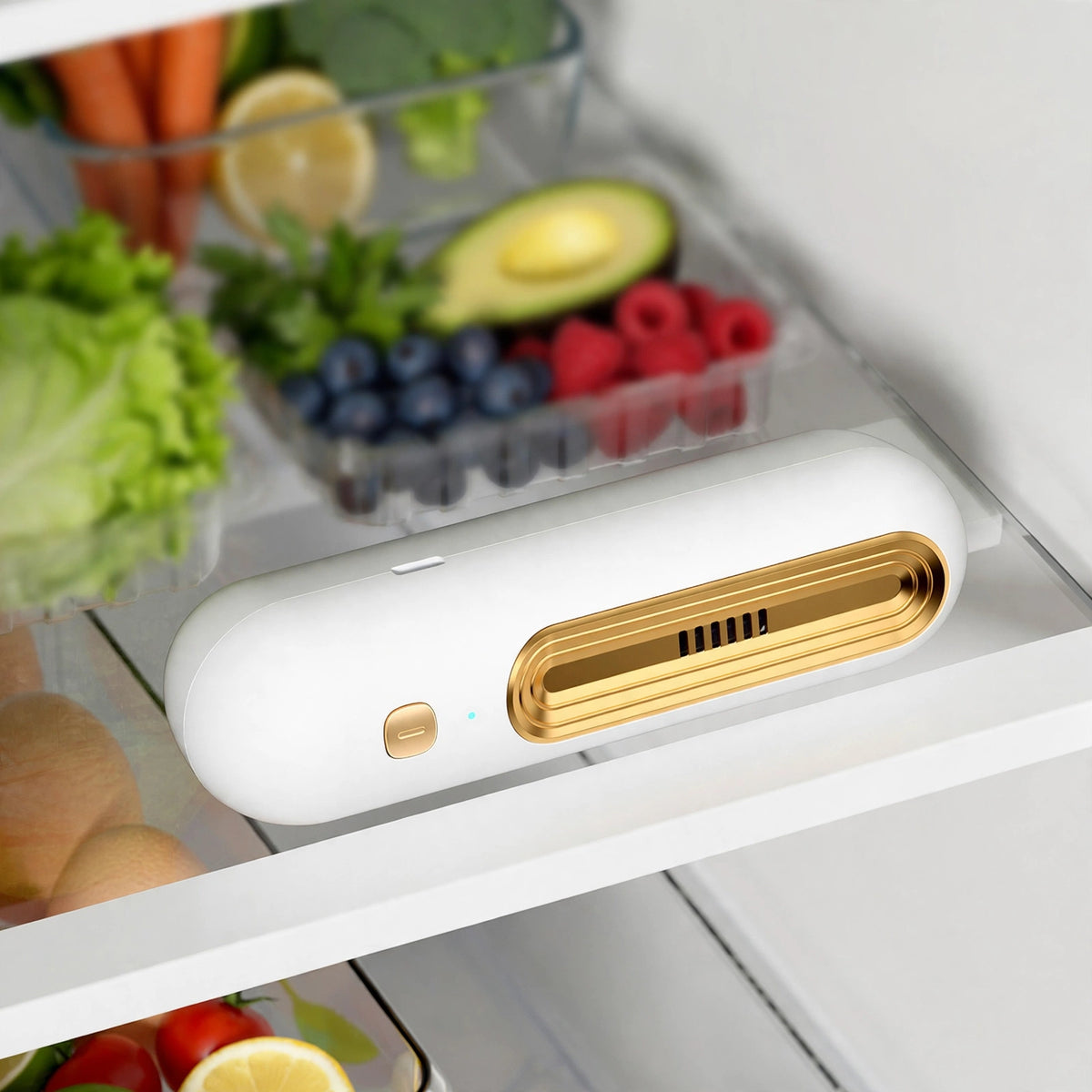 Rechargeable Fridge Deodorizer — USB